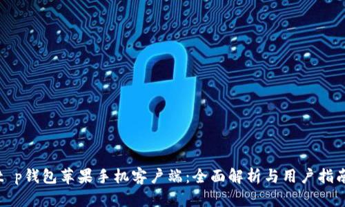 t p钱包苹果手机客户端：全面解析与用户指南