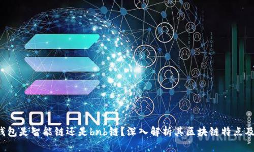 t p钱包是智能链还是bnb链？深入解析其区块链特点及功能