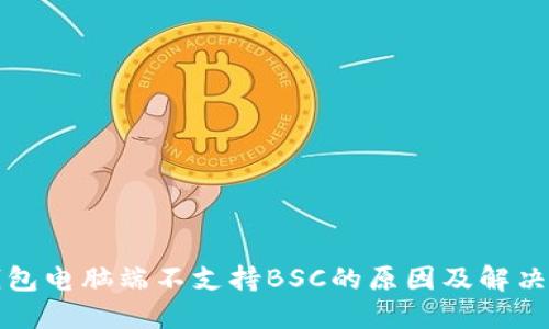TP钱包电脑端不支持BSC的原因及解决方案