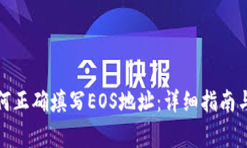 TP钱包如何正确填写EOS地址：详细指南与注意事项