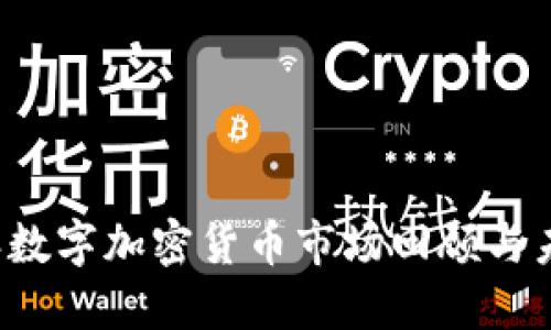 2018年数字加密货币市场回顾与未来展望