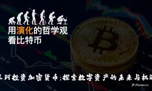 王珂投资加密货币：探索数字资产的未来与机遇