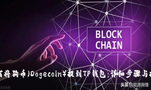 如何将狗币（Dogecoin）提到TP钱包：详细步骤与技巧