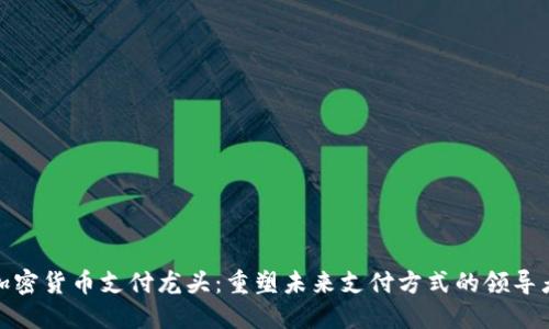 加密货币支付龙头：重塑未来支付方式的领导者