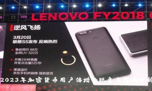 2023年加密货币用户倍增的现象与影响分析