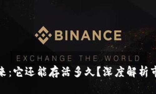 加密货币的未来：它还能存活多久？深度解析市场动态与前景