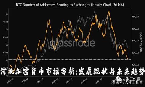 河北加密货币市场分析：发展现状与未来趋势