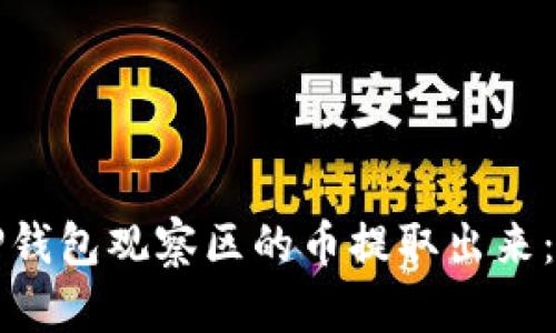 如何将TP钱包观察区的币提取出来：详细指南