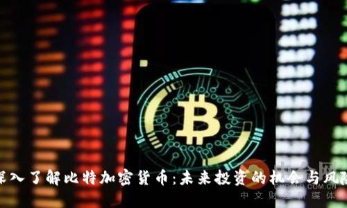 深入了解比特加密货币：未来投资的机会与风险