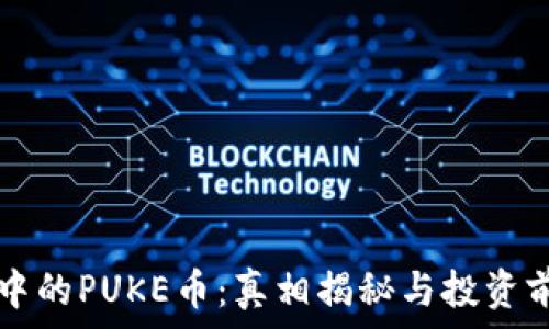  
TP钱包中的PUKE币：真相揭秘与投资前景分析