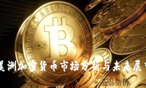 美洲加密货币市场分析与未来展望