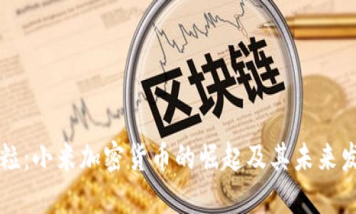 米粒：小米加密货币的崛起及其未来发展