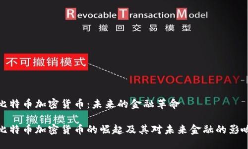 比特币加密货币：未来的金融革命

比特币加密货币的崛起及其对未来金融的影响