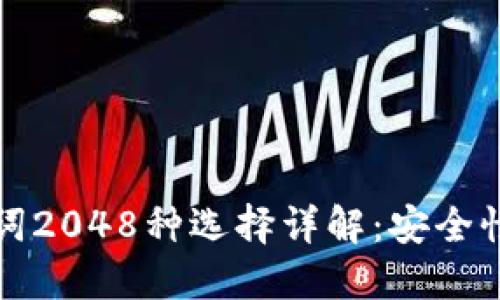 TP钱包助记词2048种选择详解：安全性与使用技巧