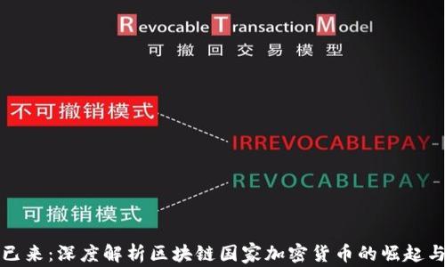 
未来已来：深度解析区块链国家加密货币的崛起与影响