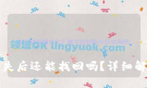 TP钱包密钥丢失后还能找回吗？详细解析与解决方法