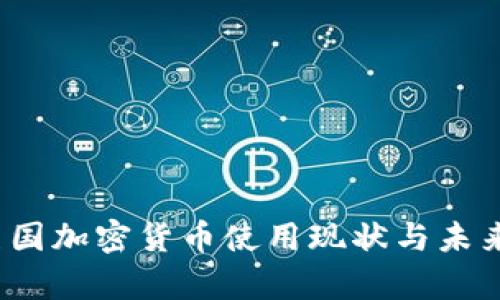 2023年美国加密货币使用现状与未来趋势分析