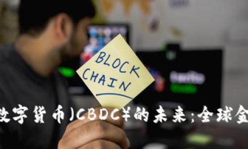 IMF与中央银行数字货币（CBDC）的未来：全球金融体系的新挑战