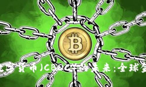 IMF与中央银行数字货币（CBDC）的未来：全球金融体系的新挑战