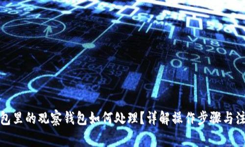 : TP钱包里的观察钱包如何处理？详解操作步骤与注意事项