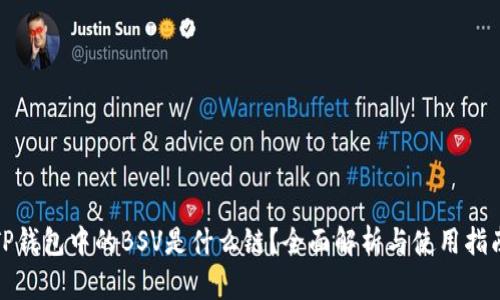 TP钱包中的BSV是什么链？全面解析与使用指南
