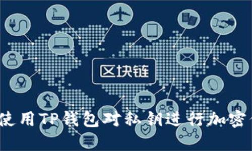如何使用TP钱包对私钥进行加密保护？
