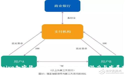 Revolve加密货币：未来数字资产的潜力与发展前景