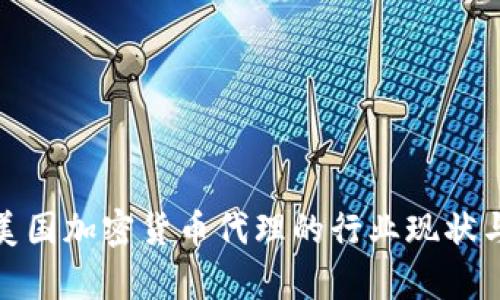 全面解析美国加密货币代理的行业现状与未来趋势