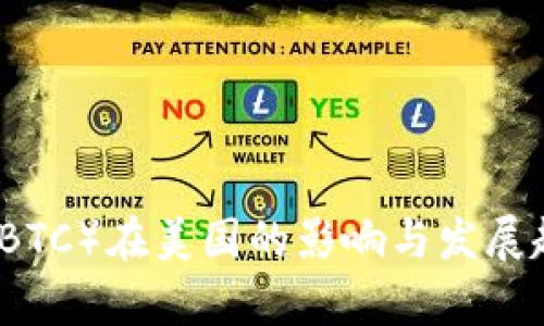 比特币（BTC）在美国的影响与发展趋势分析