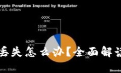 TP钱包密钥丢失怎么办？全面解读及解决方法