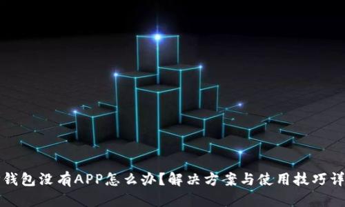 TP钱包没有APP怎么办？解决方案与使用技巧详解
