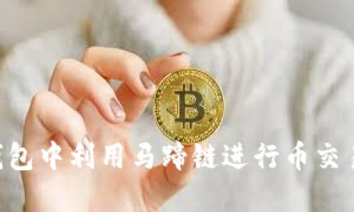如何在TP钱包中利用马蹄链进行币交易：完整指南