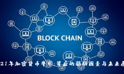 2021年加密货币牛市：背后的驱动因素与未来展望