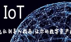 TP钱包私钥导入指南：让你的数字资产更安全