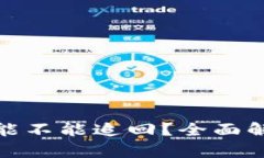 TP钱包丢了币能不能追回？全面解析与应对策略