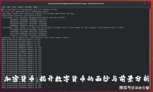 加密货币：揭开数字货币的面纱与前景分析