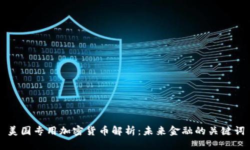 美国专用加密货币解析：未来金融的关键词