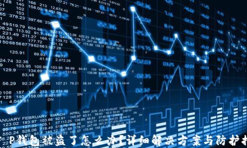 
我T P钱包被盗了怎么办？详细解决方案与防护措施