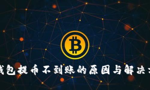 TP钱包提币不到账的原因与解决方案