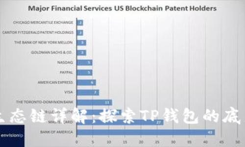TP钱包及其生态链详解：探索TP钱包的底层技术与应用