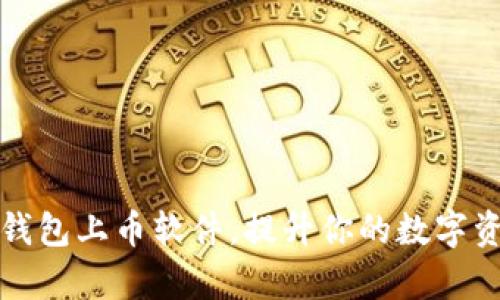 如何使用TP钱包上币软件，提升你的数字资产管理效率