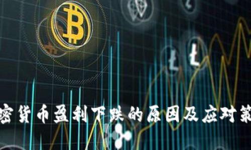 加密货币盈利下跌的原因及应对策略