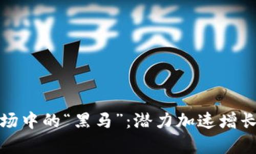 加密货币市场中的“黑马”：潜力加速增长的项目分析