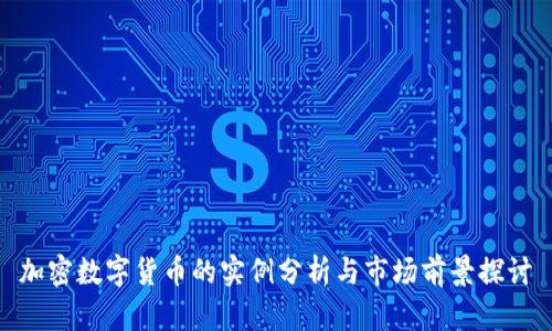 加密数字货币的实例分析与市场前景探讨