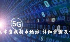 如何在TP钱包中查找持币地址：详细步骤及常见问