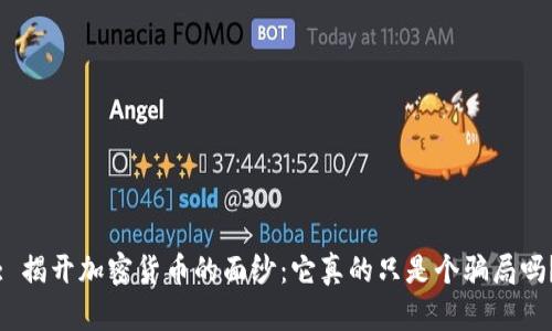 : 揭开加密货币的面纱：它真的只是个骗局吗？