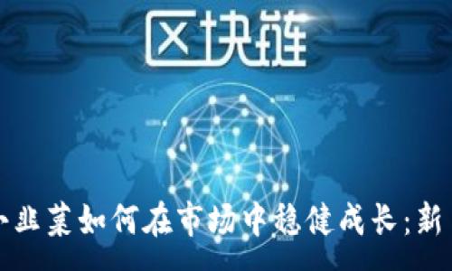 :
加密货币小韭菜如何在市场中稳健成长：新手必读指南