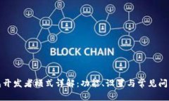 TP钱包开发者模式详解：功能、设置与常见问题解