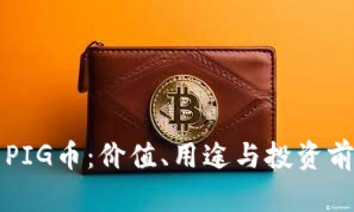 TP钱包中的PIG币：价值、用途与投资前景全面解析