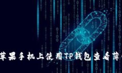 如何在苹果手机上使用TP钱包查看薄饼信息？